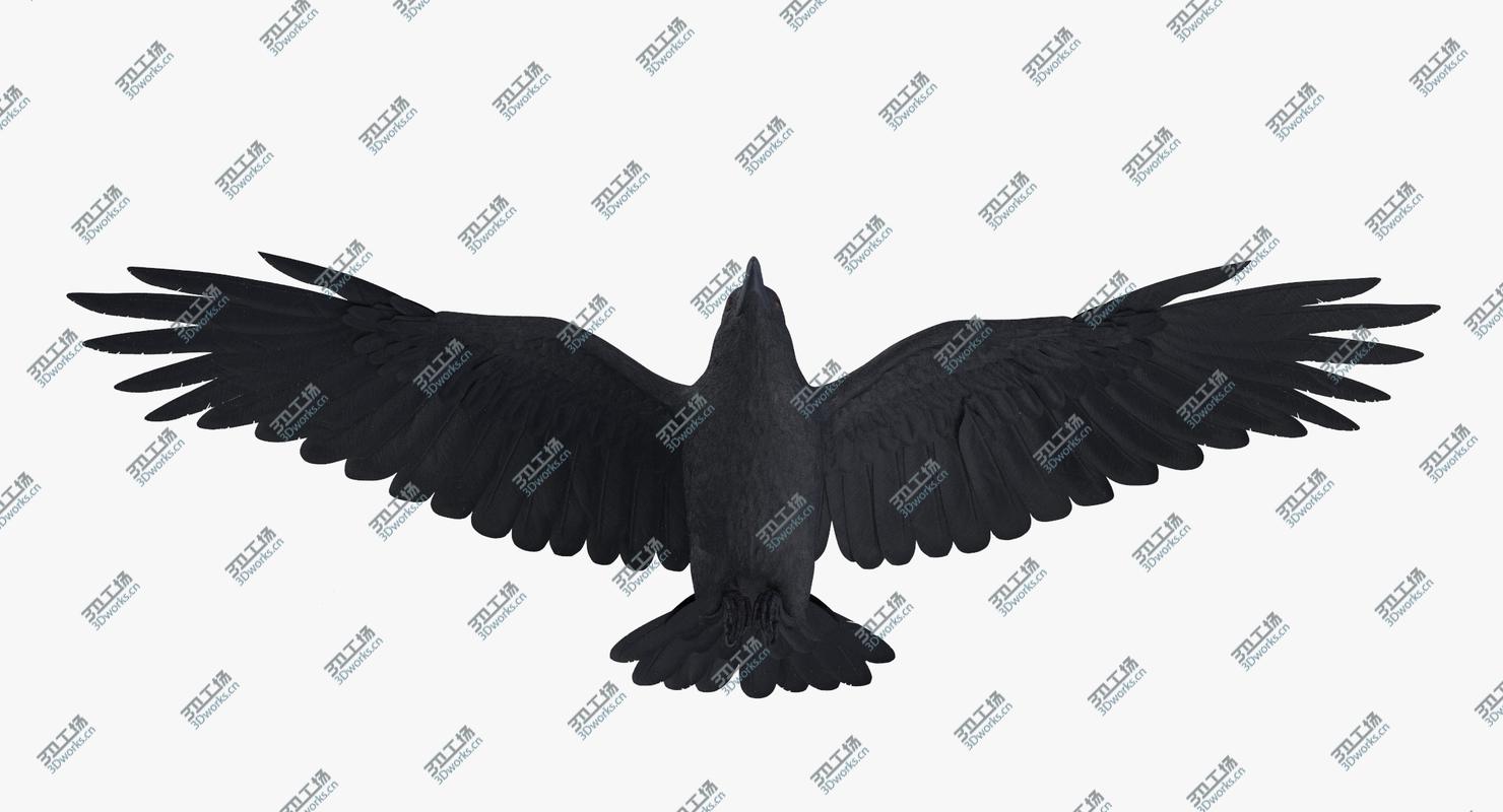 images/goods_img/2021040234/Crow 03/5.jpg